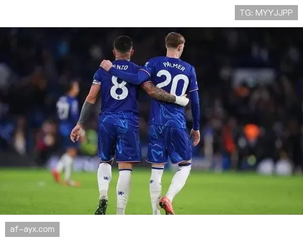 巴西队阵容调整引关注，新星闪耀备战国际赛季