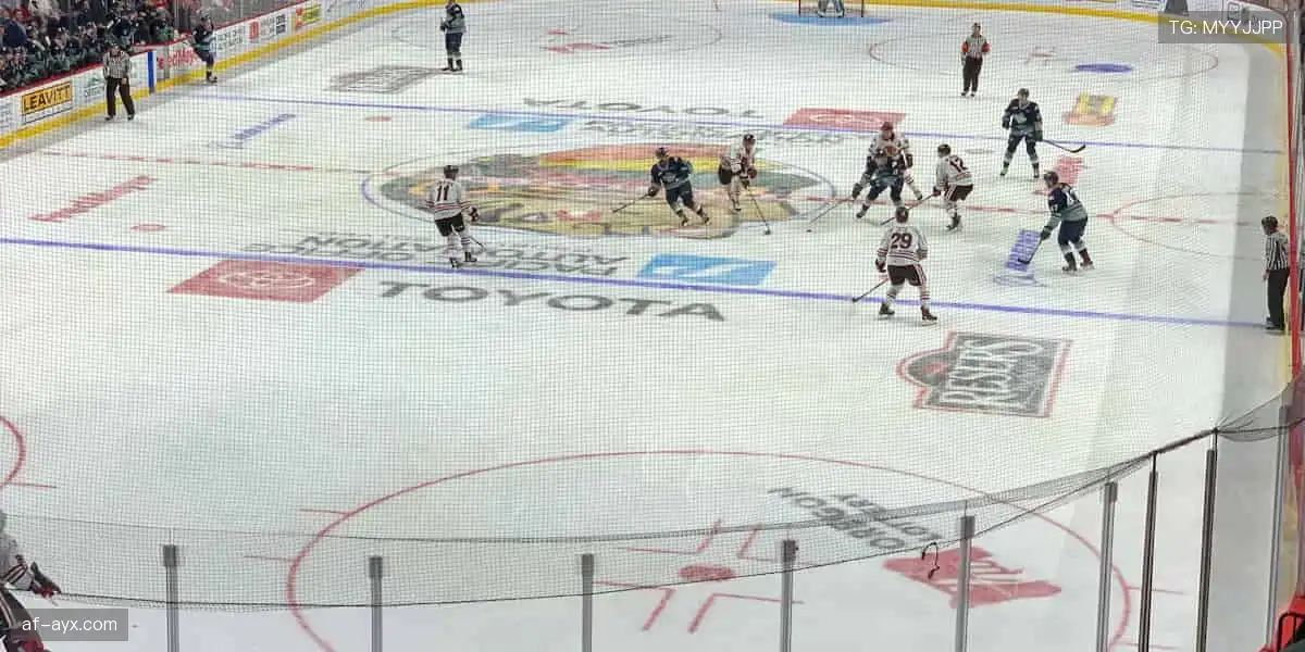 装备你的热爱，每一步都闪耀！🎯